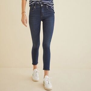 AGOLDE Amour Vert Sophie High Rise Skinny Ankle‎ Crop Dark Wash 29